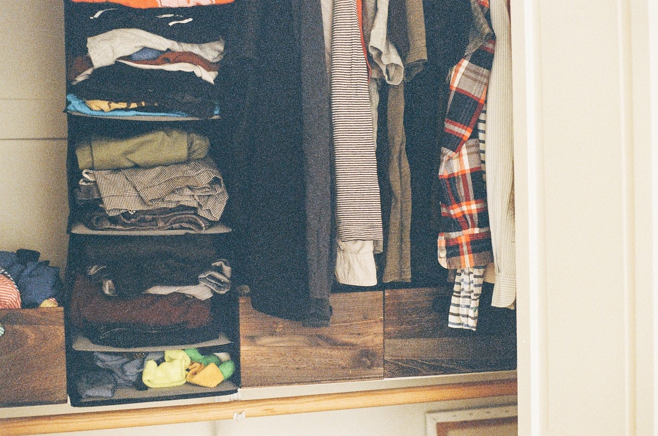 closet with organized shelves and hanging clothing
