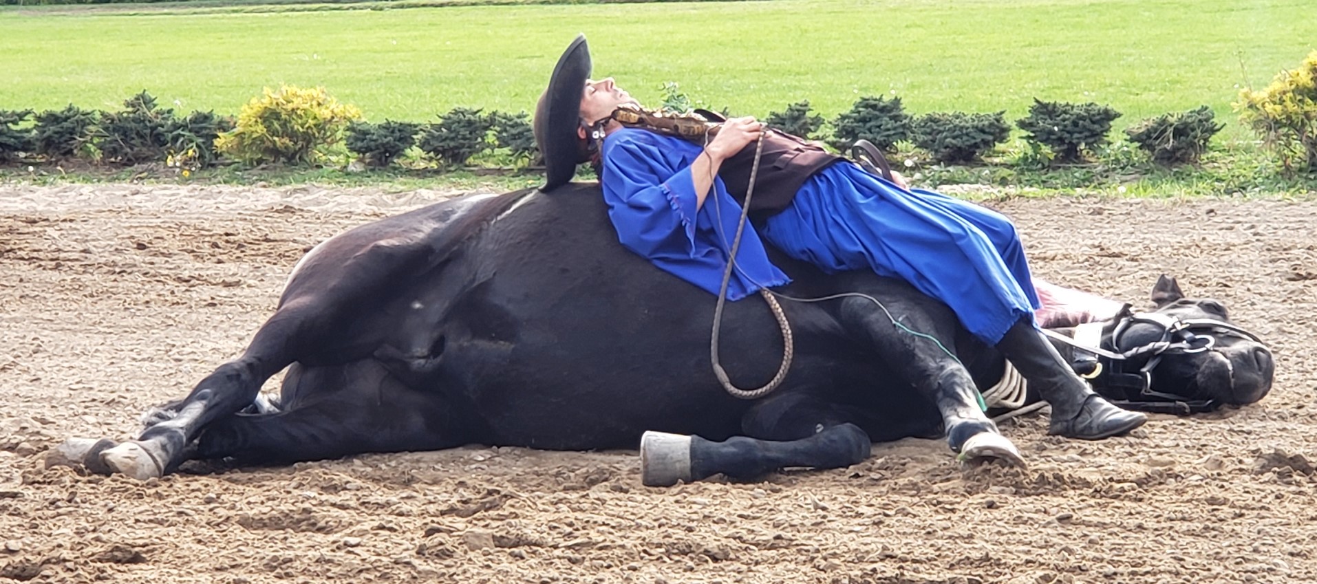 Rider Lying on Top of Horse